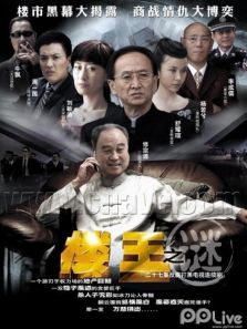 楼王之谜DVD