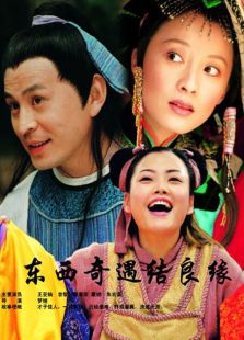 东西奇遇结良缘