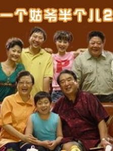 一个姑爷半个儿2DVD