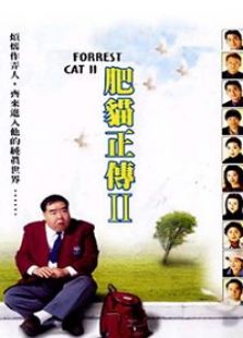 肥猫正传第二部电视剧全集