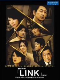 LINK电视剧全集