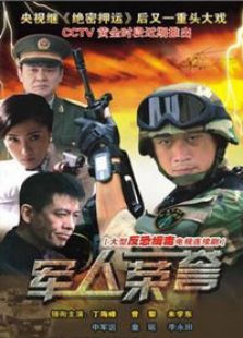 军人荣誉电视剧全集