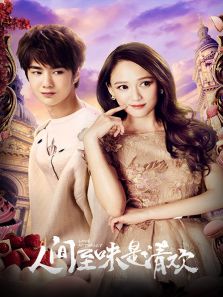 人间至味是清欢 DVD版