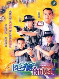 陀枪师姐1粤语版电视剧全集