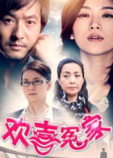 当婆婆遇上妈之欢喜冤家TV版电视剧全集