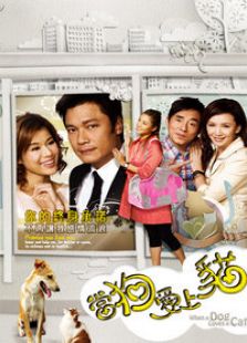 当狗爱上猫电视剧全集