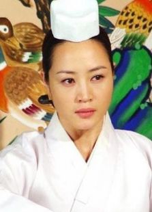张禧嫔电视剧全集