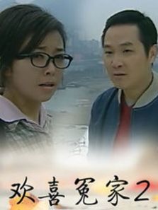 欢喜冤家2DVD
