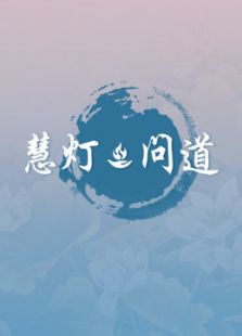 《慧灯●问道》