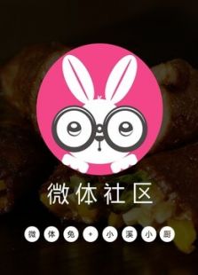 【微体兔+小溪小厨】