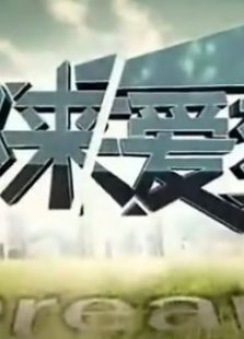 都来爱梦