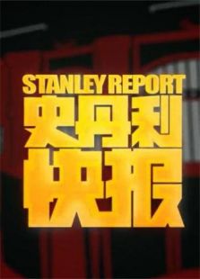 STN快报