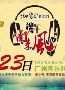 2012山东卫视端午节晚会免费高清国语