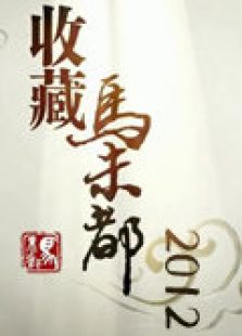 点击播放《收藏马未都-2012》