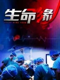 生命缘第二季最新一期_2016生命缘第二季PP