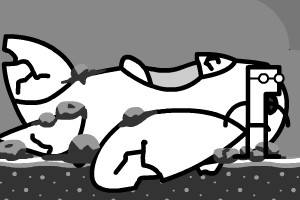 飞机坠落事件