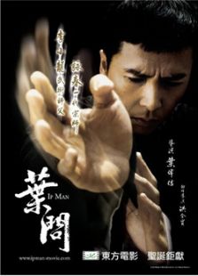 Image result for 宗师叶问