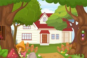 503232img_bx.jpg